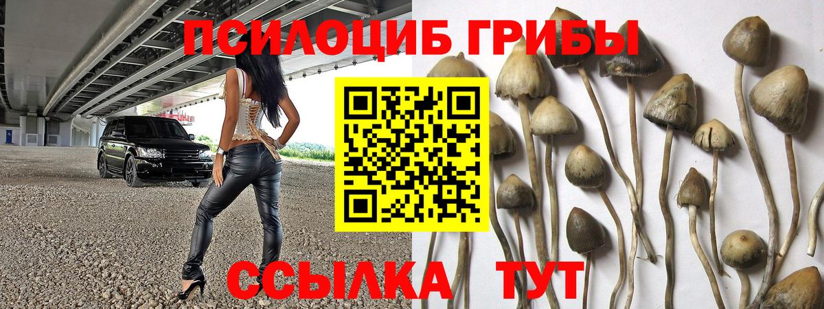 Псилоцибиновые грибы Psilocybine cubensis  Вход с VPN  Артём 